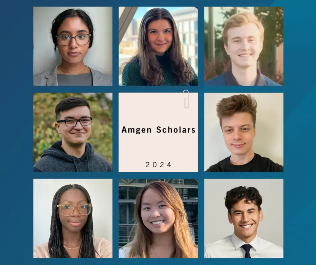 Amgen Scholars Award 2024