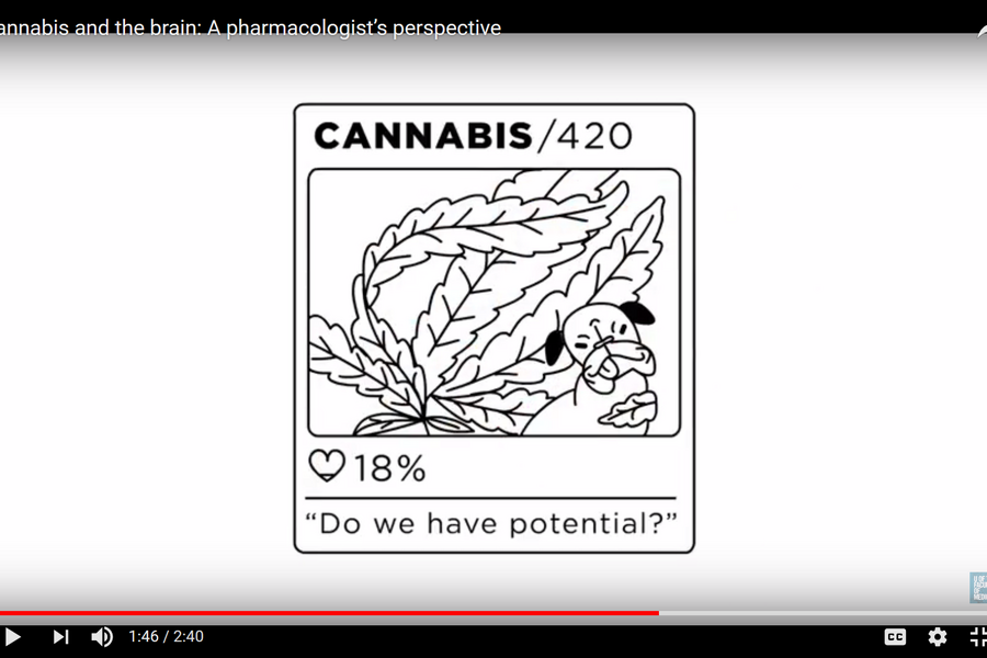 Cannabis and the Brain